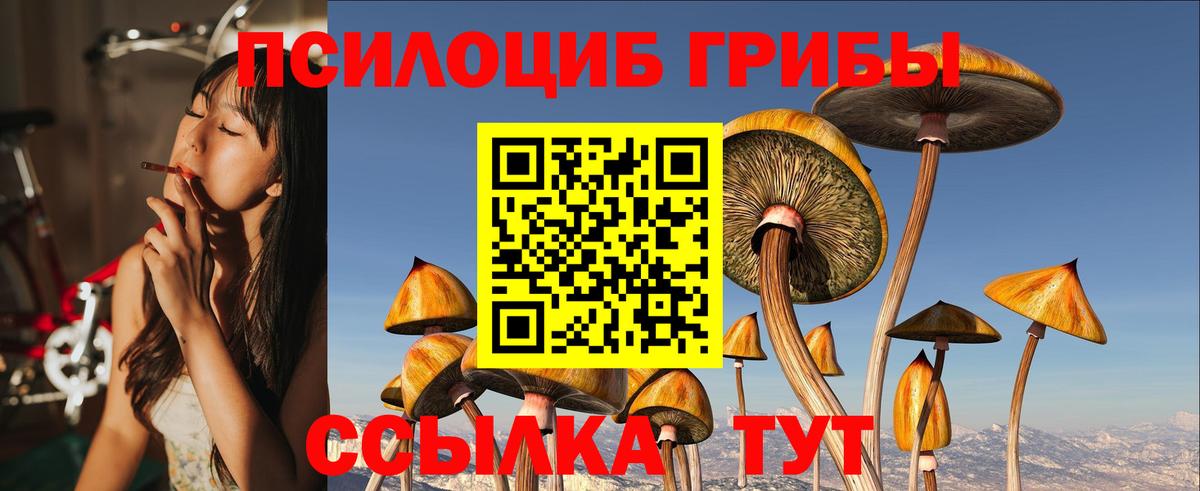 Псилоцибиновые грибы Cubensis  Вход с VPN  Псилоцибиновые грибы MAGIC MUSHROOMS  Фрязино 
