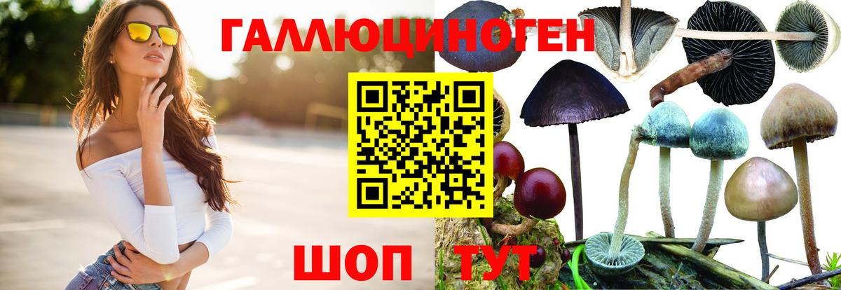 Псилоцибиновые грибы Cubensis Фрязино